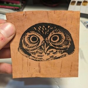 Burrowing Owl Print